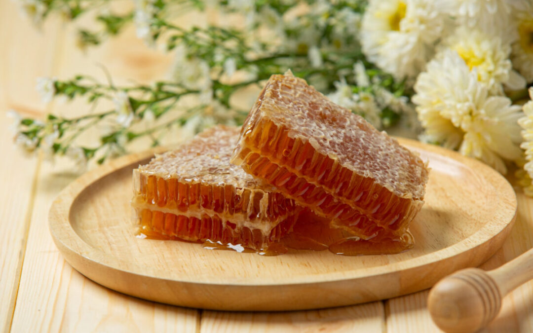 fresh honeycombs wooden surface &mdash; Včelaříme!